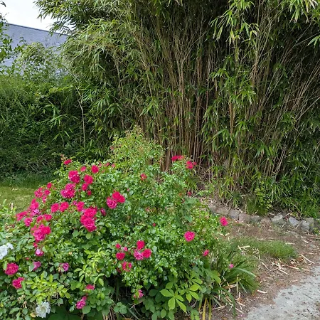 La Jeannette * Vains