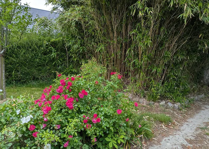 La Jeannette * Vains