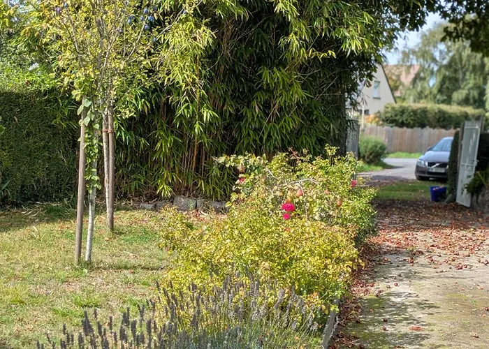 Holiday home La Jeannette Vains